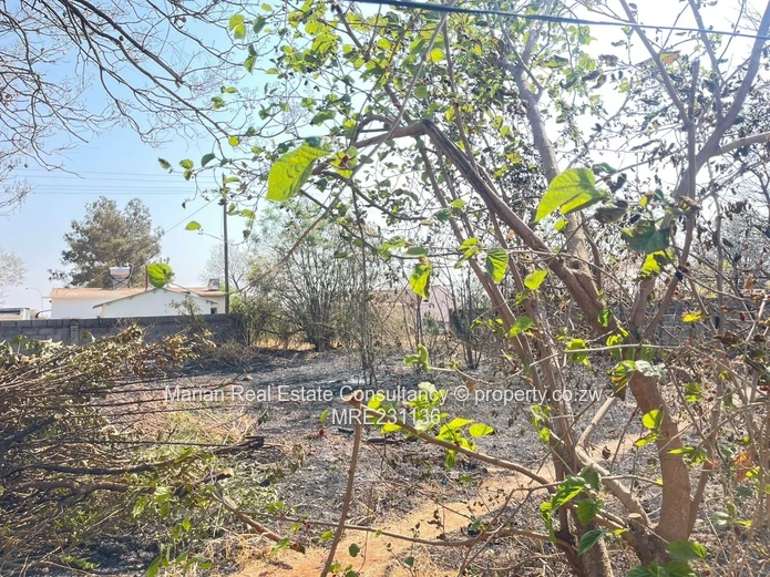 Kumalo North, 3 Bedroom House  For Rent