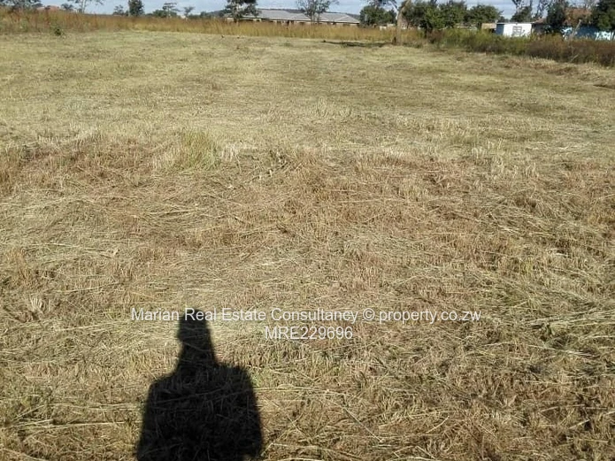 Knowe Norton, Stand For Sale