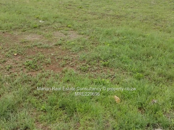 Knowe Norton, Stand For Sale