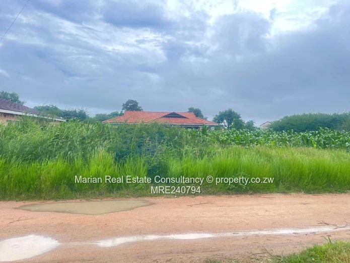 Reigate Stand FOR SALE