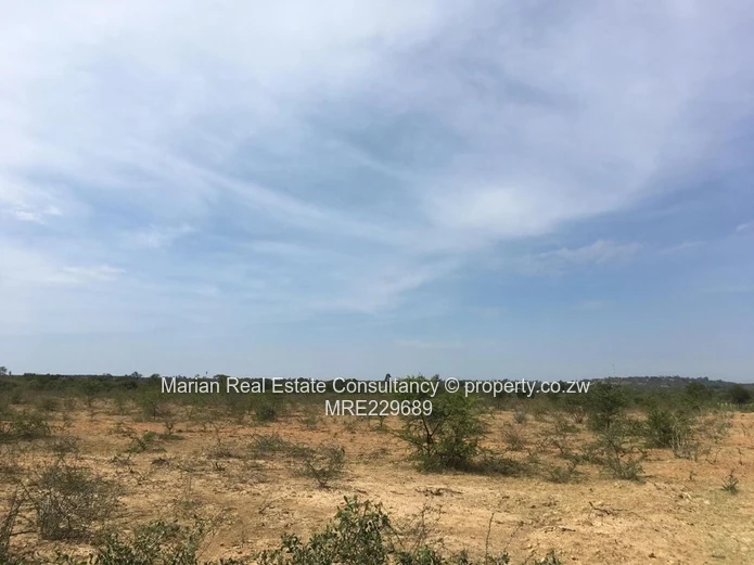  Gumtree Stand FOR SALE